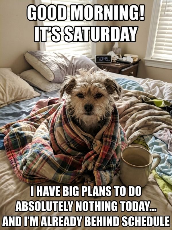 Good Morning Saturday Funny Memes with Images